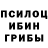 Псилоцибиновые грибы Psilocybine cubensis islamic photography