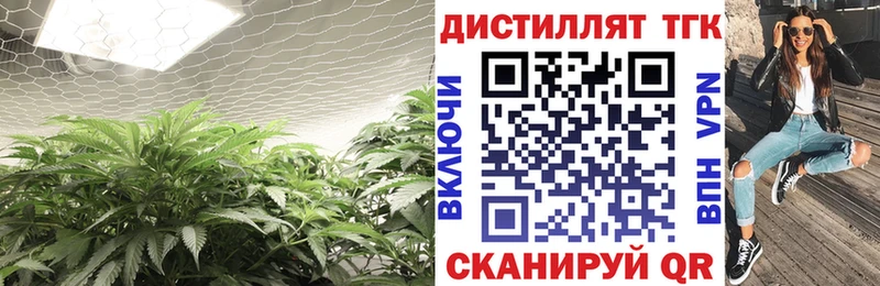 kraken как зайти  Междуреченск  Дистиллят ТГК жижа  купить наркоту 