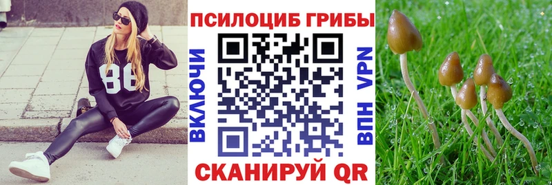 цены наркотик  mega зеркало  Галлюциногенные грибы мухоморы  Междуреченск 