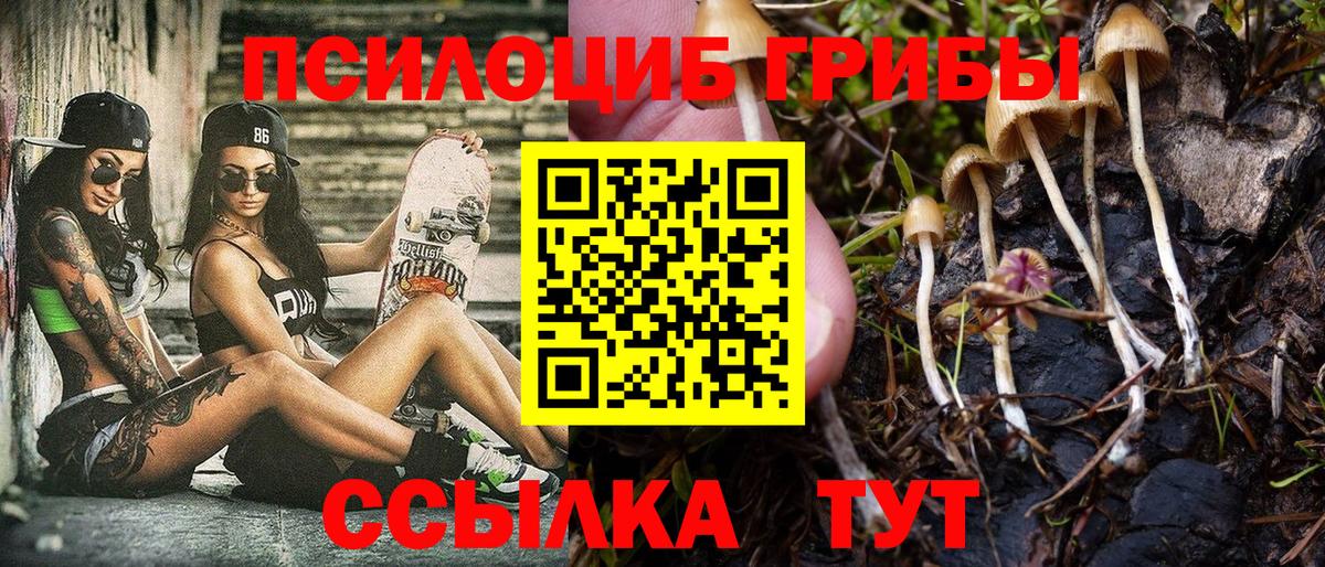 Междуреченск  Псилоцибиновые грибы мицелий  Вход с VPN  купить  цена  Галлюциногенные грибы Psilocybine cubensis 