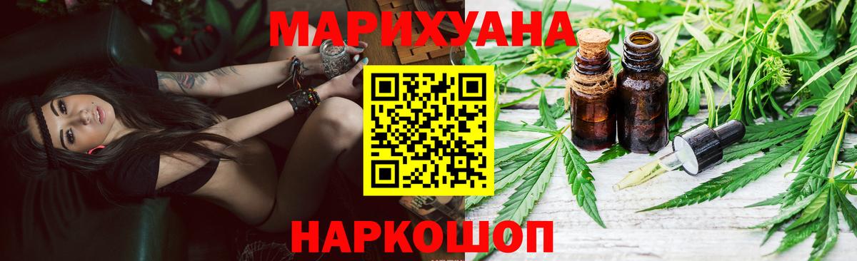 Бошки Шишки планчик  Конопля конопля  Междуреченск  Вход с VPN  Шишки марихуана Ganja  Бошки Шишки сатива 